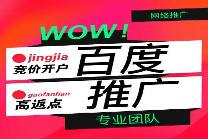某某SEM服务公司：一例广告投放的优化与成果